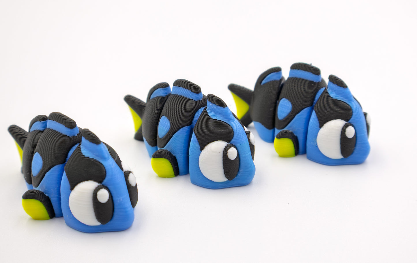 Dodo - de blauwe doktersvis